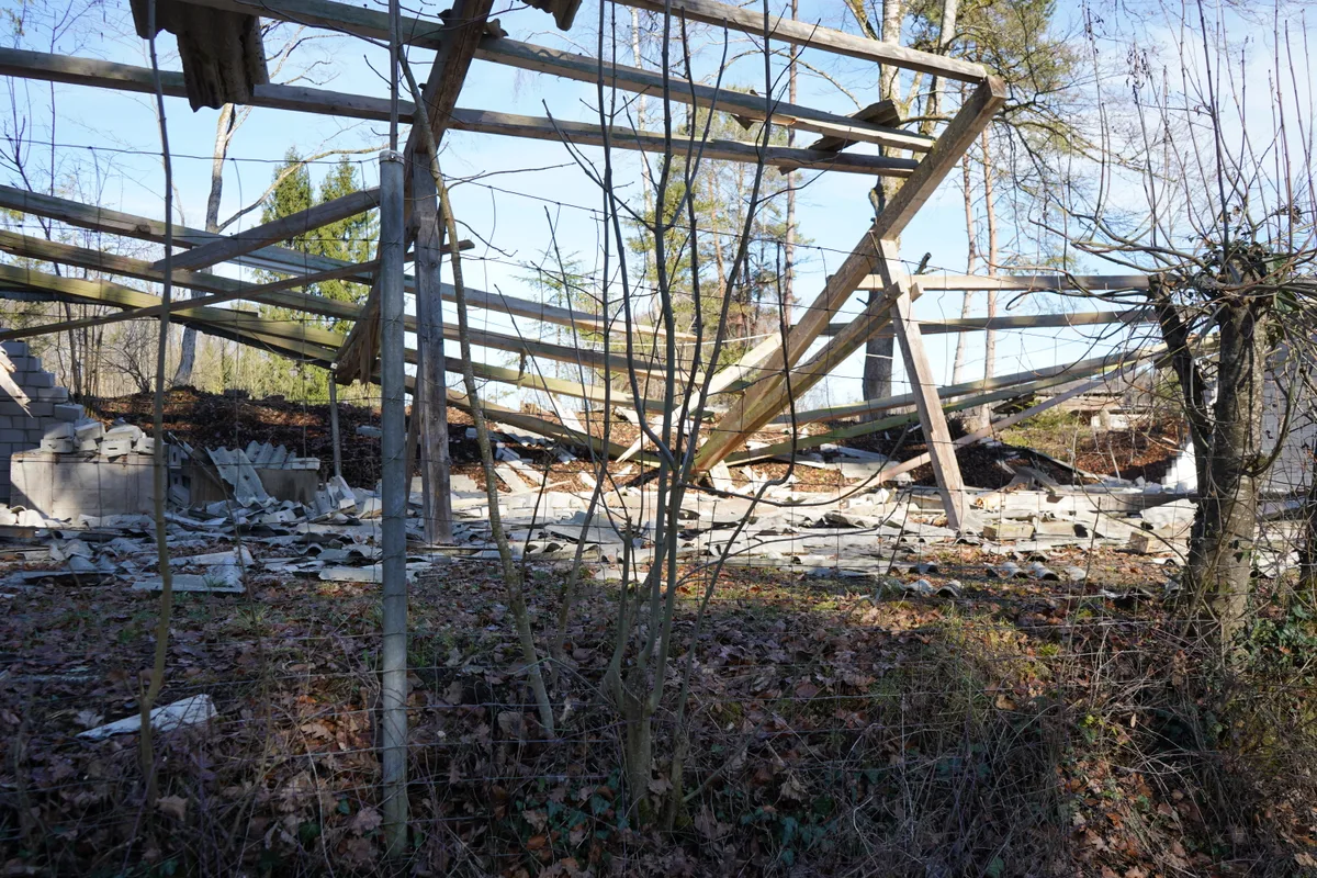 Zusammengestürzte Balken im Wald. 